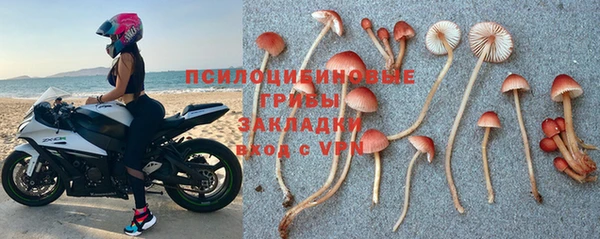 ГАЛЛЮЦИНОГЕННЫЕ ГРИБЫ Алексеевка