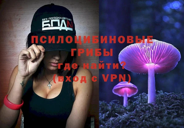ГАЛЛЮЦИНОГЕННЫЕ ГРИБЫ Алексеевка